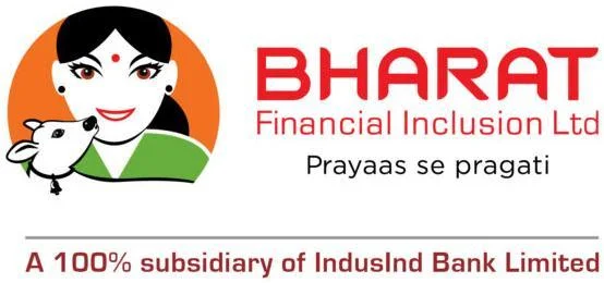 Bharat Financial